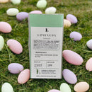 Chocotastery - Lumineux Chocolate - Dark Chocolate Rabbit