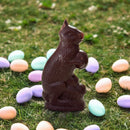 Chocotastery - Lumineux Chocolate - Dark Chocolate Rabbit